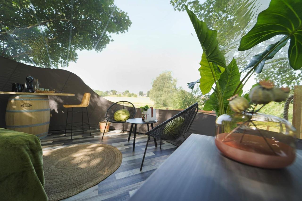 Bulles Odette & Ginette Et Tiny House Suzette "Au Guet Marais" Etape Insolite Paliseul エクステリア 写真