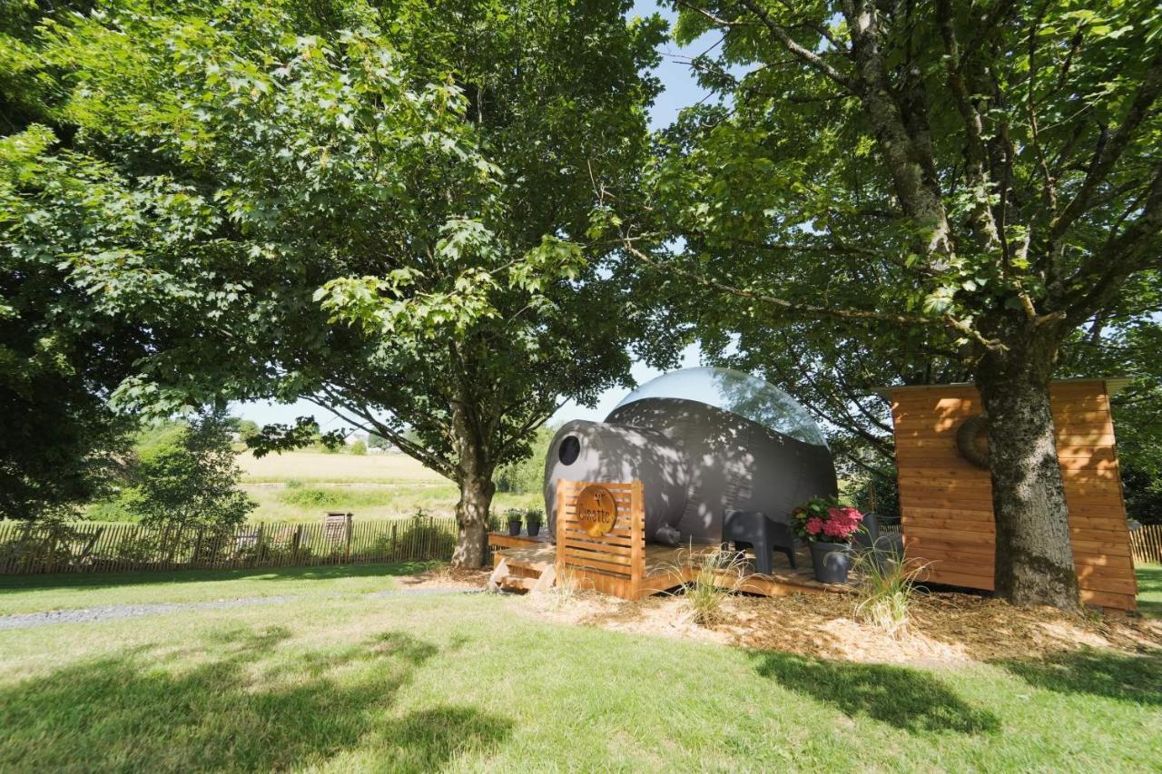 Bulles Odette & Ginette Et Tiny House Suzette "Au Guet Marais" Etape Insolite Paliseul エクステリア 写真